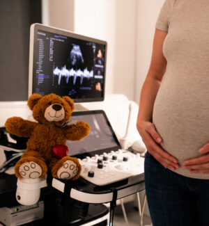 Babamozi és Cimbi maci